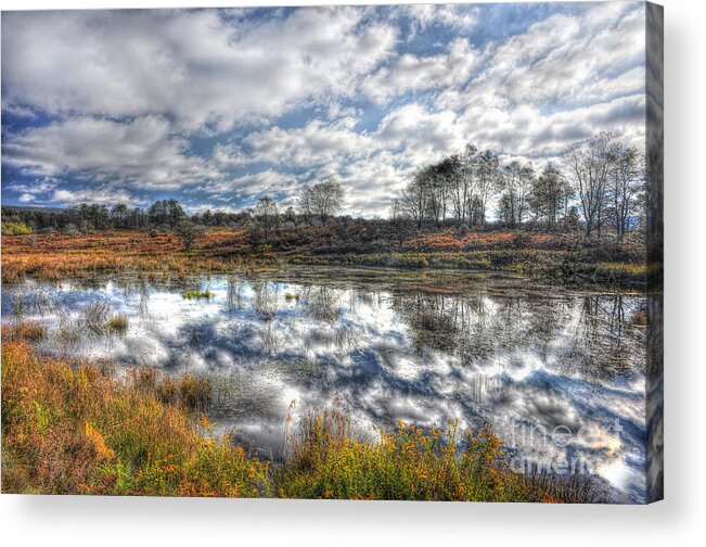 Clouds Acrylic Print featuring the photograph Cloud reflections in beaver pond Canaan Valley by Dan Friend