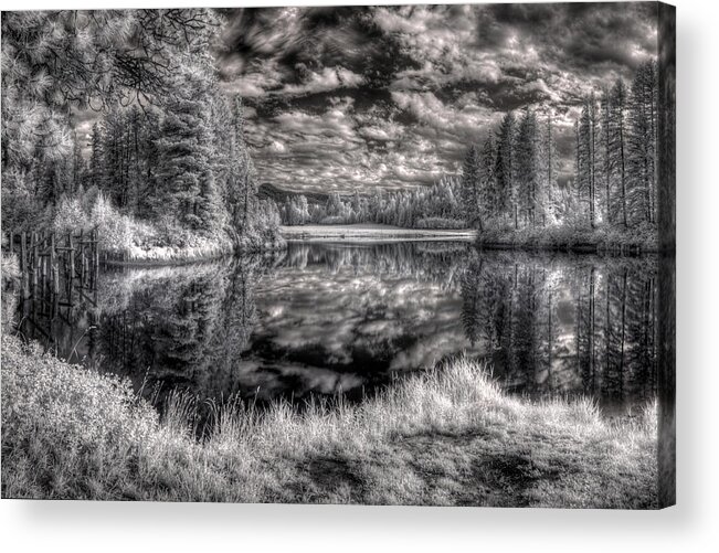 Scenic Acrylic Print featuring the photograph Cocolala Creek Slough Panorama 2 by Lee Santa