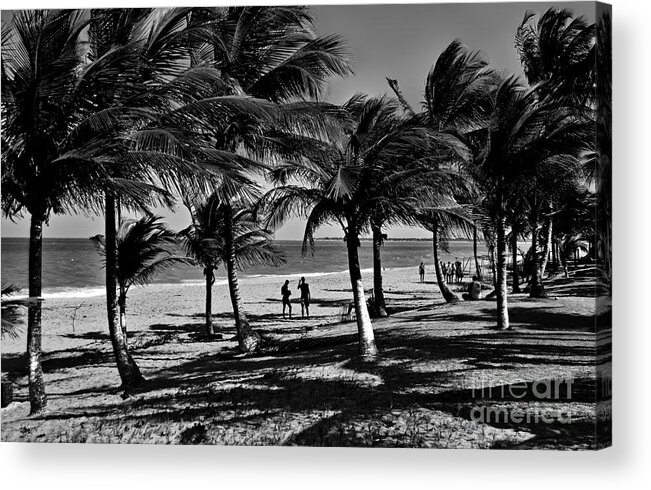 Bw Acrylic Print featuring the photograph Coconut Trees on a Typical Bahia Beach by Carlos Alkmin