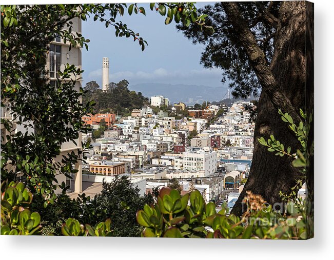 Brown Acrylic Print featuring the photograph Coit Tower View by Kate Brown