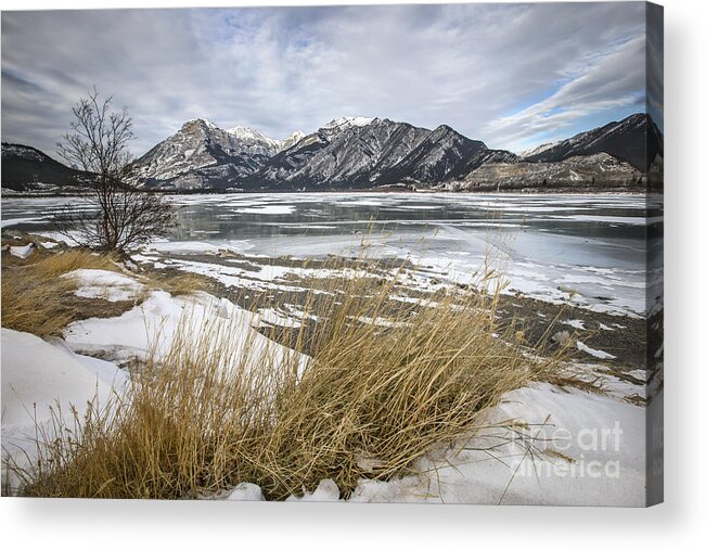 Banff Acrylic Print featuring the photograph Cold Landscapes by Evelina Kremsdorf