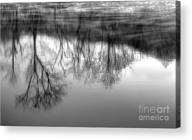 River Monochrome Acrylic Print featuring the photograph Cold Reflection by Michael Eingle