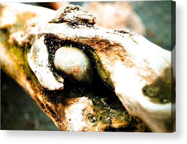 Abstract Acrylic Print featuring the photograph Cold Stare by Laureen Murtha Menzl