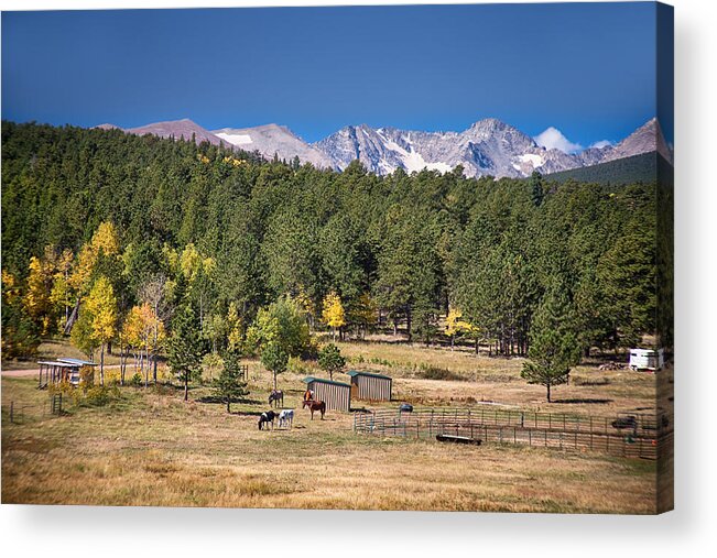 Autumn Acrylic Print featuring the photograph Colorado High Country Landscape by James BO Insogna
