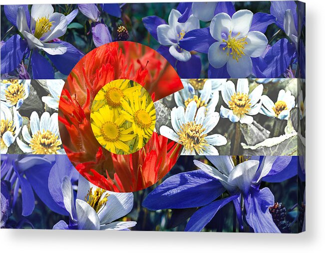 Colorado Acrylic Print featuring the photograph Colorado State Flag with Wildflower Textures by Aaron Spong