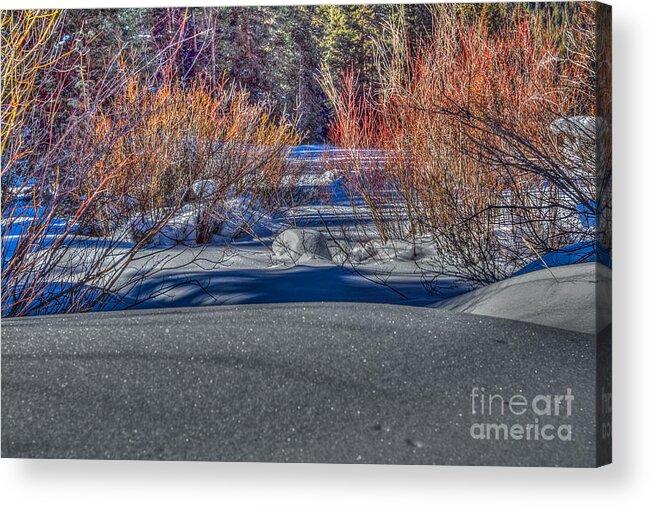 Landscape Acrylic Print featuring the photograph Colorful despite snow by Franz Zarda
