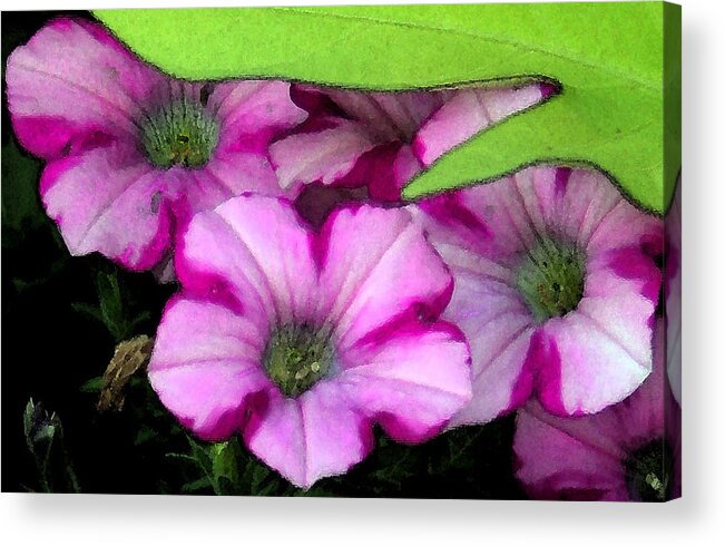 Petunia Acrylic Print featuring the painting Colorful Petunias by Karen Harrison Brown