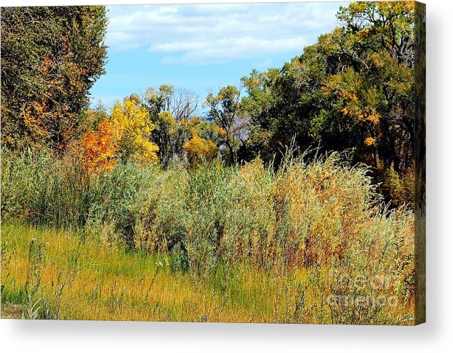 Scenic Acrylic Print featuring the photograph Colors along the Gunnison by Bob Hislop