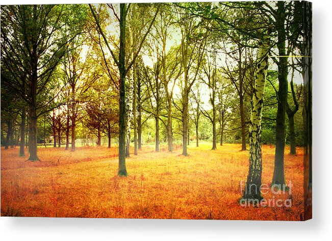 Colors Acrylic Print featuring the photograph Colors Cool by Boon Mee