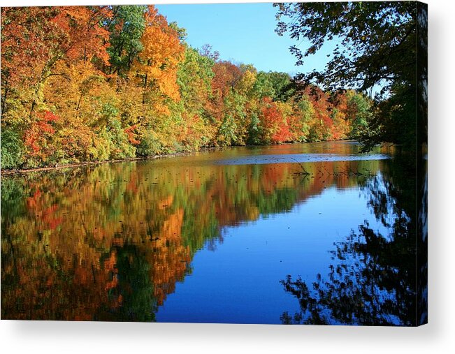 Fall Acrylic Print featuring the photograph Colors of Fall by Susan McMenamin