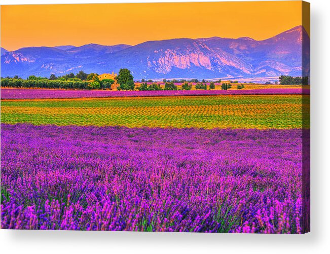 Provence Acrylic Print featuring the photograph Colors of Provence by Midori Chan