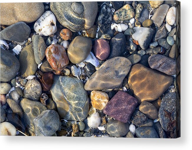 Andrew Pacheco Acrylic Print featuring the photograph Colors of The Coast by Andrew Pacheco