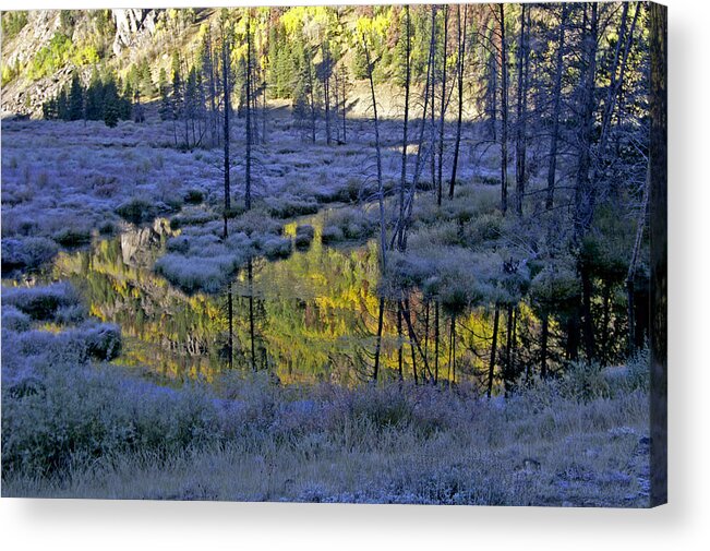 Colorado Acrylic Print featuring the photograph Colour Palette by Jeremy Rhoades