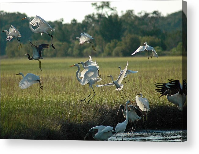 Jekyll Island Acrylic Print featuring the photograph Community Uplift by Bruce Gourley