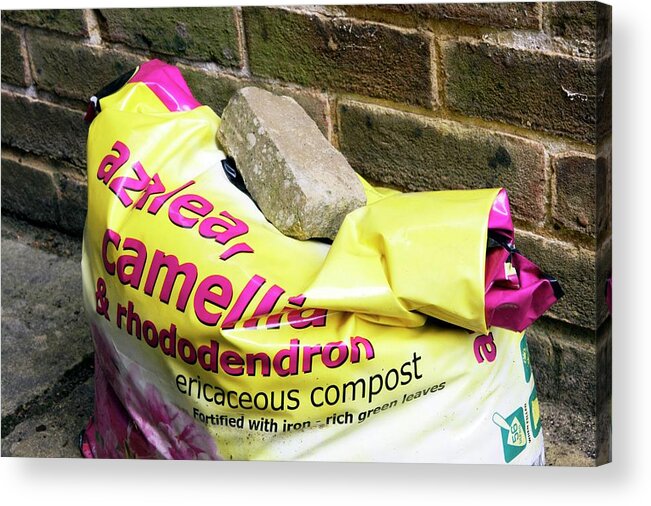 Equipment Acrylic Print featuring the photograph Compost For Planting A Rhododendron by Anthony Cooper/science Photo Library