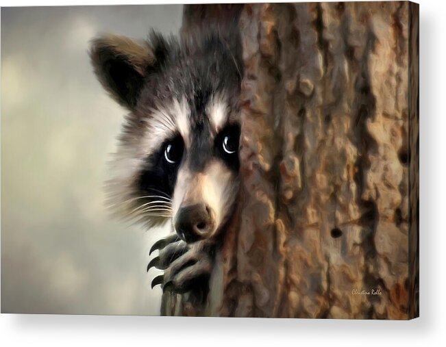 Raccoon Acrylic Print featuring the painting Conspicuous Bandit by Christina Rollo