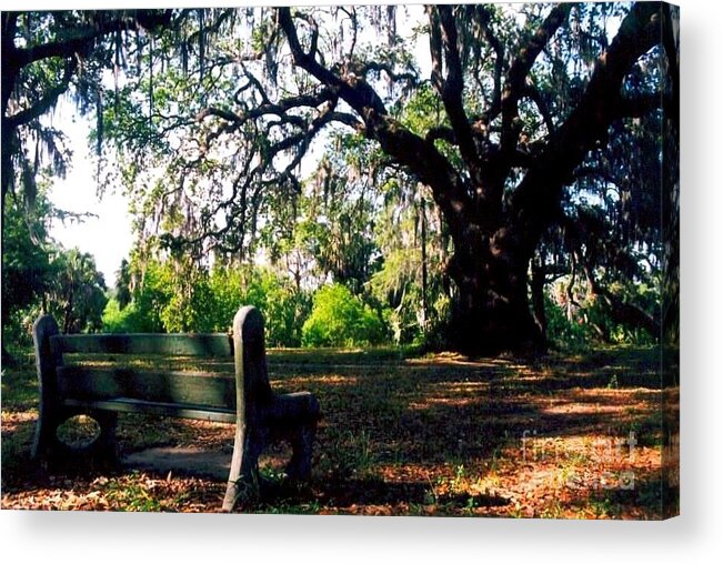 Nola Acrylic Print featuring the photograph New Orleans Contemplating Solitude by Michael Hoard