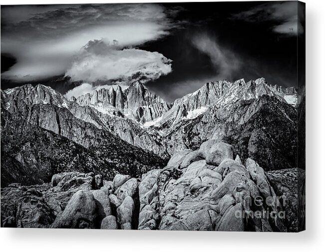 Alabama Hills Acrylic Print featuring the photograph Contrasting Elements by Jennifer Magallon