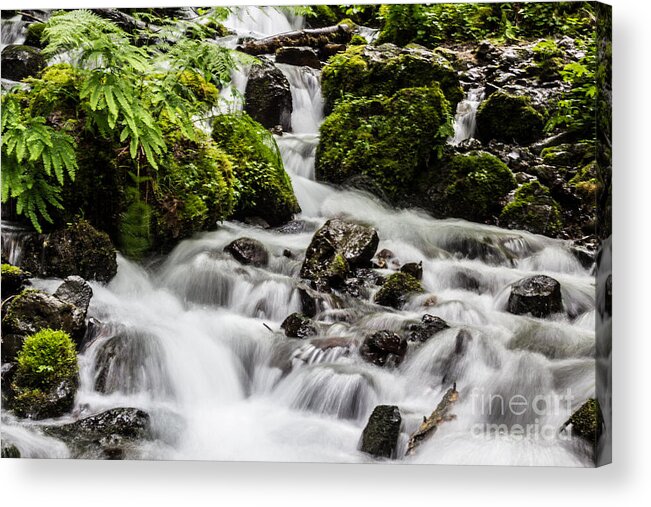 Wahkeena Falls Acrylic Print featuring the photograph Cool Waters by Suzanne Luft