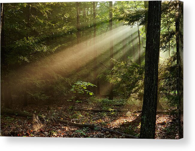 Rays Acrylic Print featuring the photograph Cooper Rock Sun Rays II by Brian Simpson