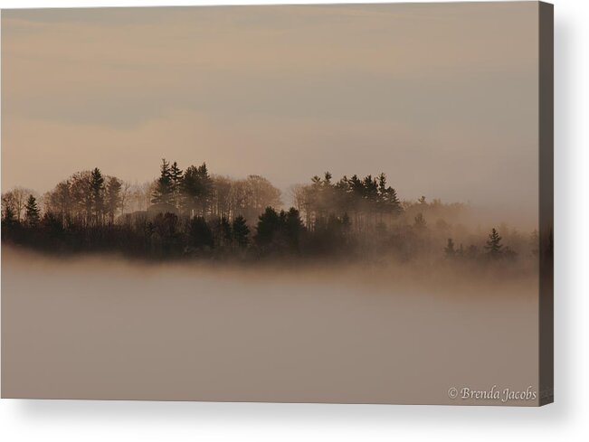 Belknap Mountains Acrylic Print featuring the photograph Copps Hill Fog by Brenda Jacobs