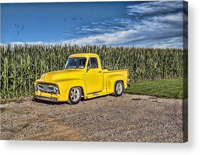 Cornfield Acrylic Print featuring the photograph Cornfield Yellow by Cathy Kovarik