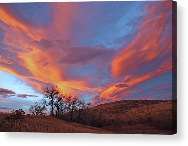 Cottonwood Tree Print Acrylic Print featuring the photograph Cottonwood Sunset by Jim Garrison