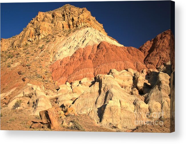 Cottonwood Road Acrylic Print featuring the photograph Cottonwood Variety Landscape by Adam Jewell