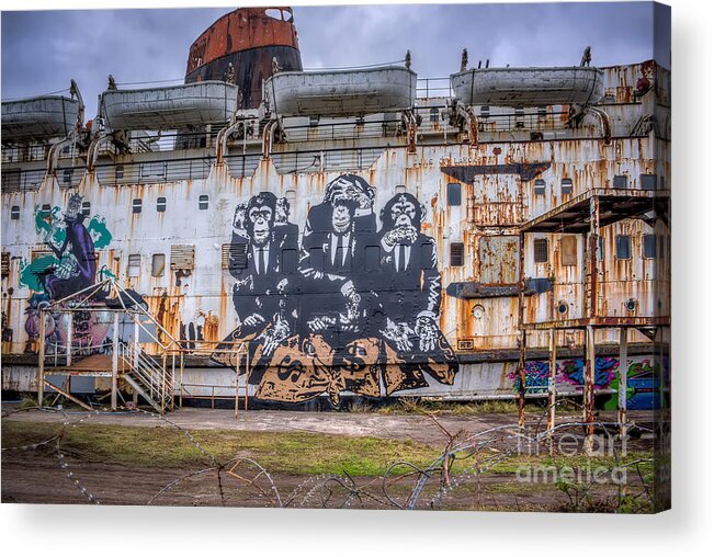 Duke Of Lancaster Acrylic Print featuring the photograph Council of Monkeys by Adrian Evans