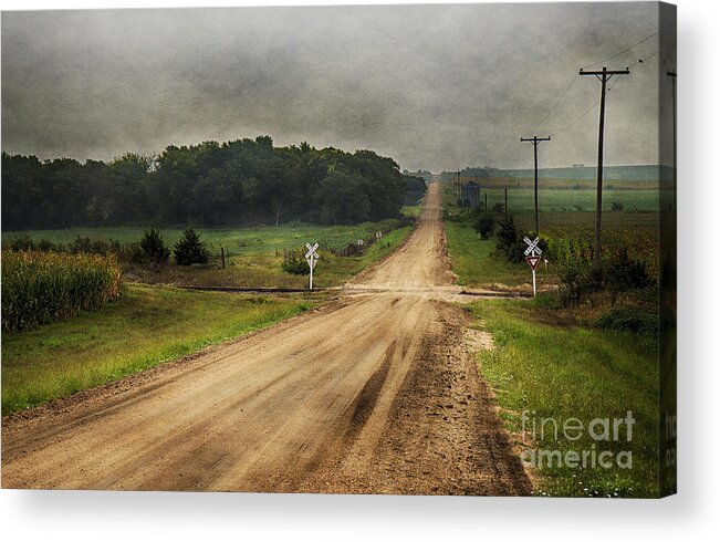 Country Acrylic Print featuring the photograph Country Crossing by Pam Holdsworth