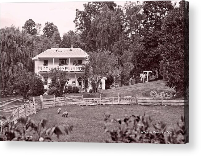 Country Acrylic Print featuring the photograph Country Life by Denise Romano