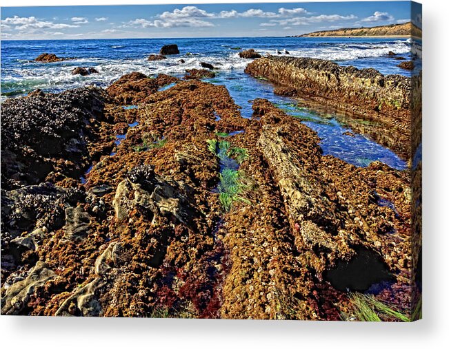 California Acrylic Print featuring the photograph Crystal Cove Tide Pools by Donna Pagakis