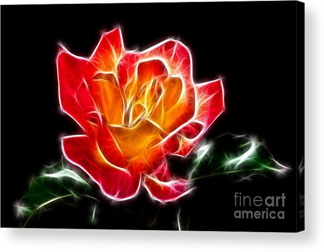 Crystal Rose Acrylic Print featuring the photograph Crystal Rose by Mariola Bitner