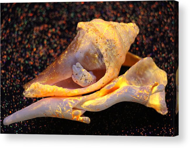 Sand Acrylic Print featuring the photograph Cuddling Sands by Shawn MacMeekin