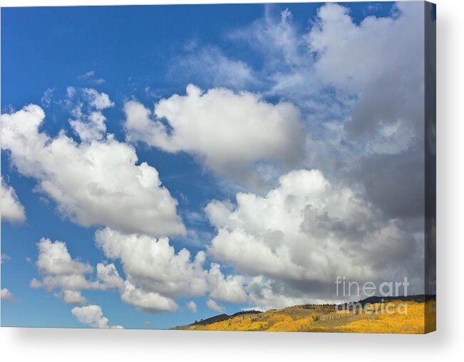 00559138 Acrylic Print featuring the photograph Cumulus Clouds And Aspens by Yva Momatiuk John Eastcott