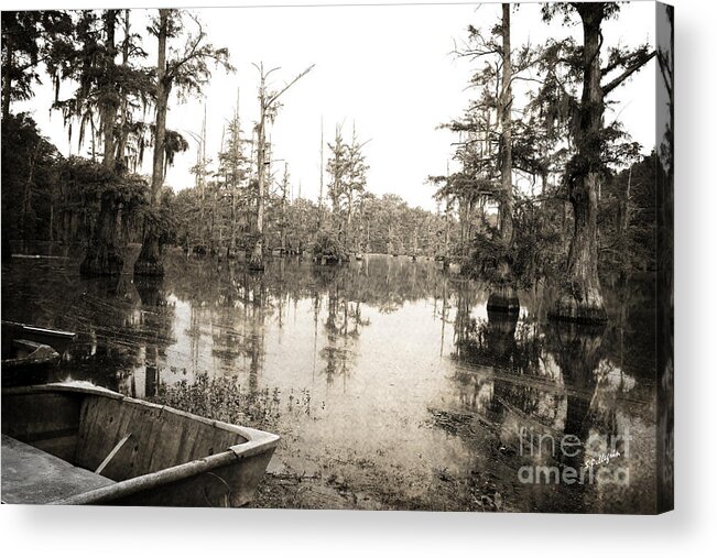 Swamp Acrylic Print featuring the photograph Cypress Swamp -sepia by Scott Pellegrin