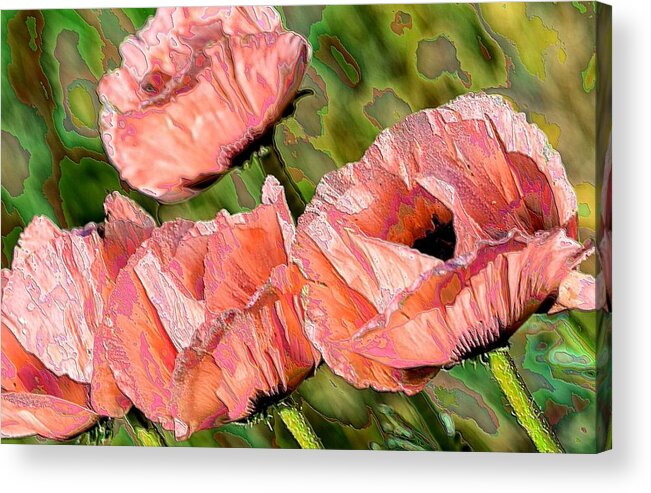 Poppies Acrylic Print featuring the photograph Dance of the Poppies by Jacqui Binford-Bell