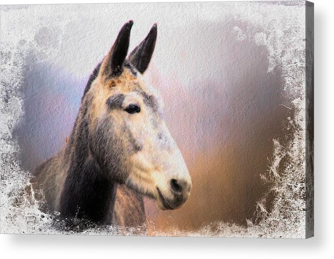 Equine Acrylic Print featuring the photograph Dappled Mare by Bonfire Photography