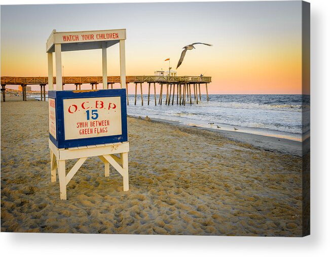 Photobomb Acrylic Print featuring the photograph Days End by Mark Rogers