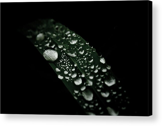 Droplets Acrylic Print featuring the photograph Dazzlin' by Shane Holsclaw