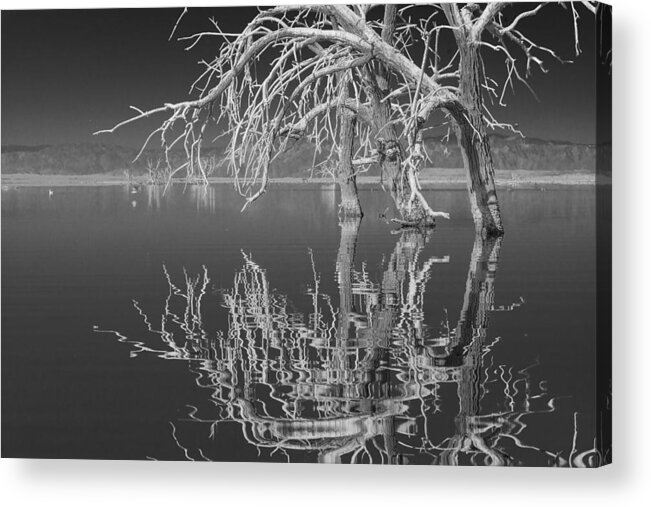 Reflection Acrylic Print featuring the photograph Dead Arch Black and White by Scott Campbell