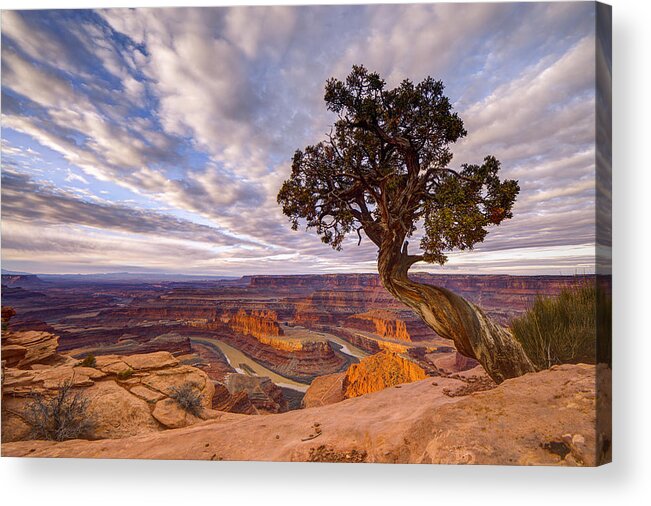 Utah Acrylic Print featuring the photograph Dead Horse Point Sunrise by Dustin LeFevre