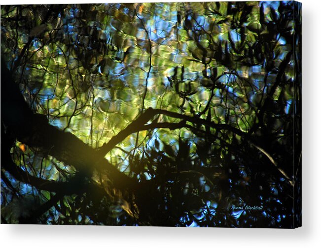 Abstract Acrylic Print featuring the photograph Deep Forest Light by Donna Blackhall