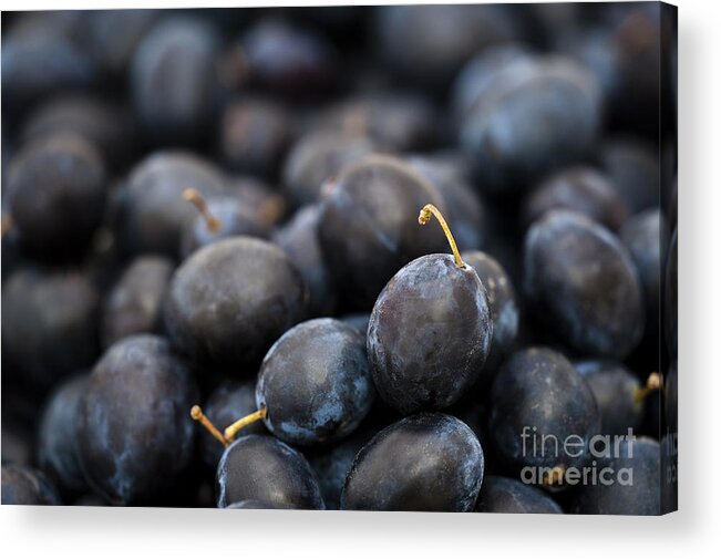 Autumn Acrylic Print featuring the photograph Deeply Damson by Anne Gilbert