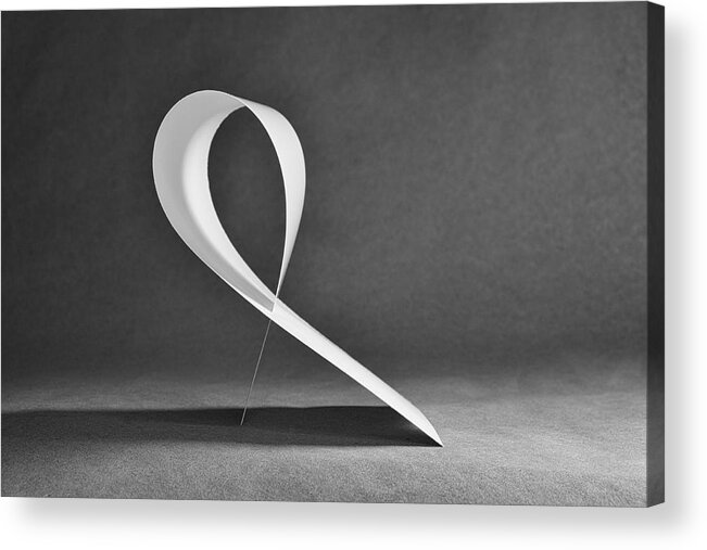Black And White Acrylic Print featuring the photograph Delicate Balance by Mary Lee Dereske