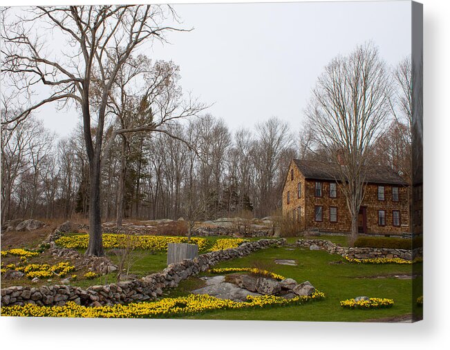 Denison Homestead Acrylic Print featuring the photograph Denison Homestead in Bloom by Kirkodd Photography Of New England