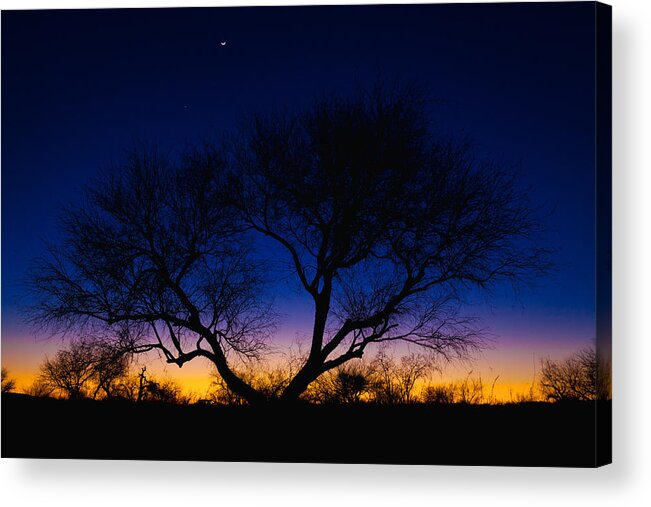 Outdoor Acrylic Print featuring the photograph Desert Silhouette by Chad Dutson