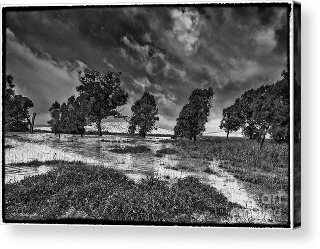 Desert Acrylic Print featuring the photograph Desert storm by Arik Baltinester