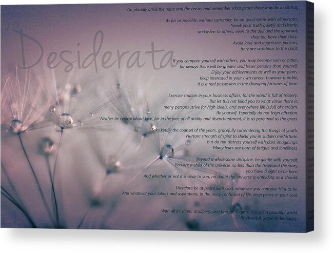 Desiderata Acrylic Print featuring the photograph Desiderata - Dandelion Tears by Marianna Mills