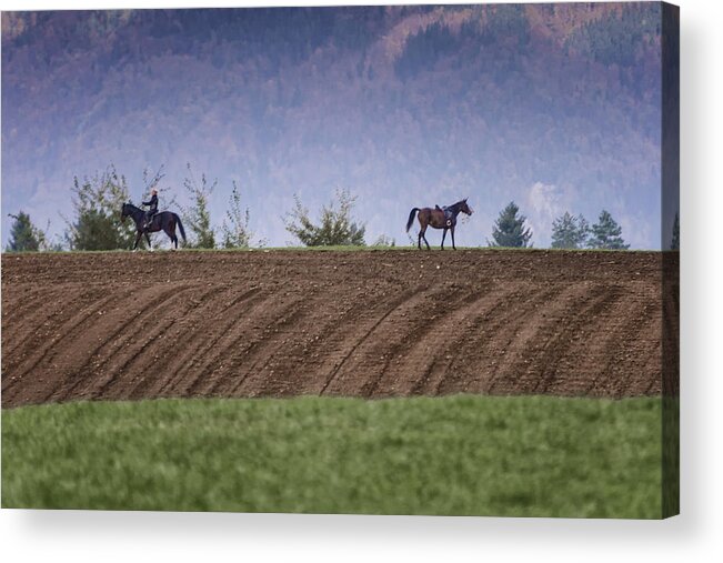 Take Your Own Way! Acrylic Print featuring the photograph Determintaion by Robert Krajnc